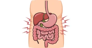 Illustration of the stomach and intestines showing digestive system discomfort and gastrointestinal issues.